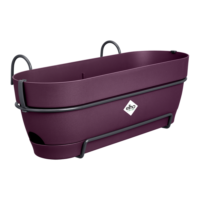 vibia campana balkonbak allin1 50cm esdoorn paars